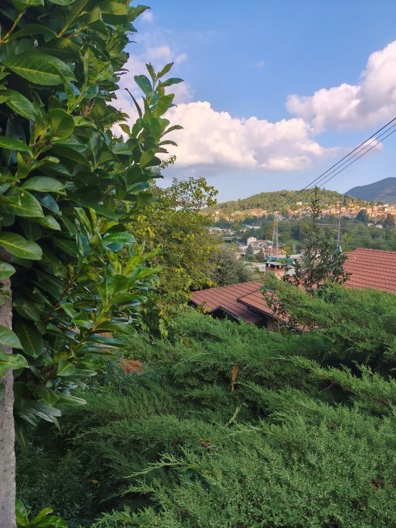  - foto 6