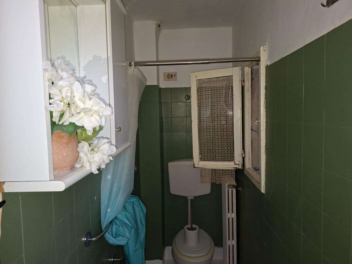  - foto 11