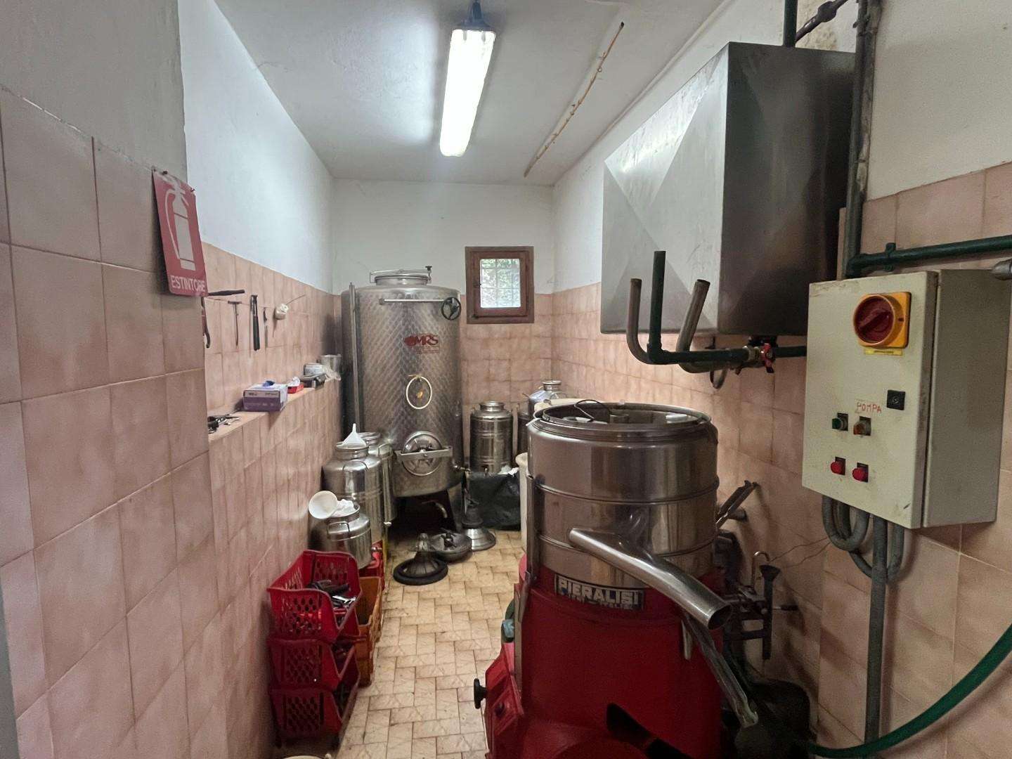  - foto 8