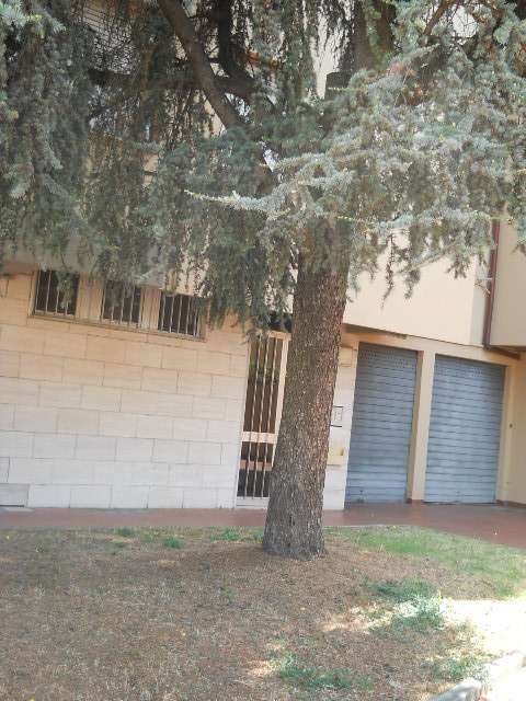  - foto 10