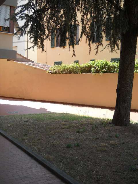  - foto 9