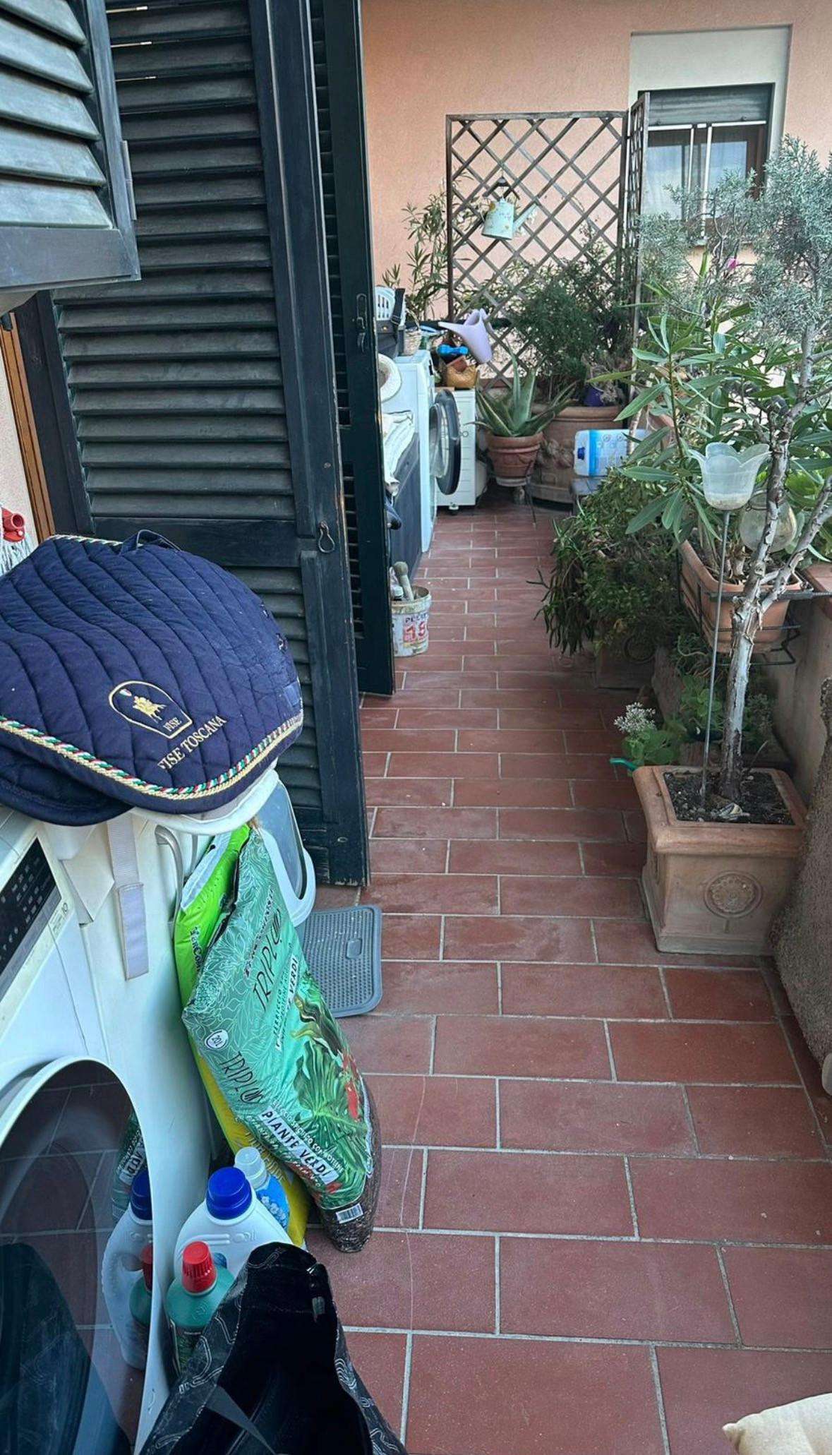  - foto 12