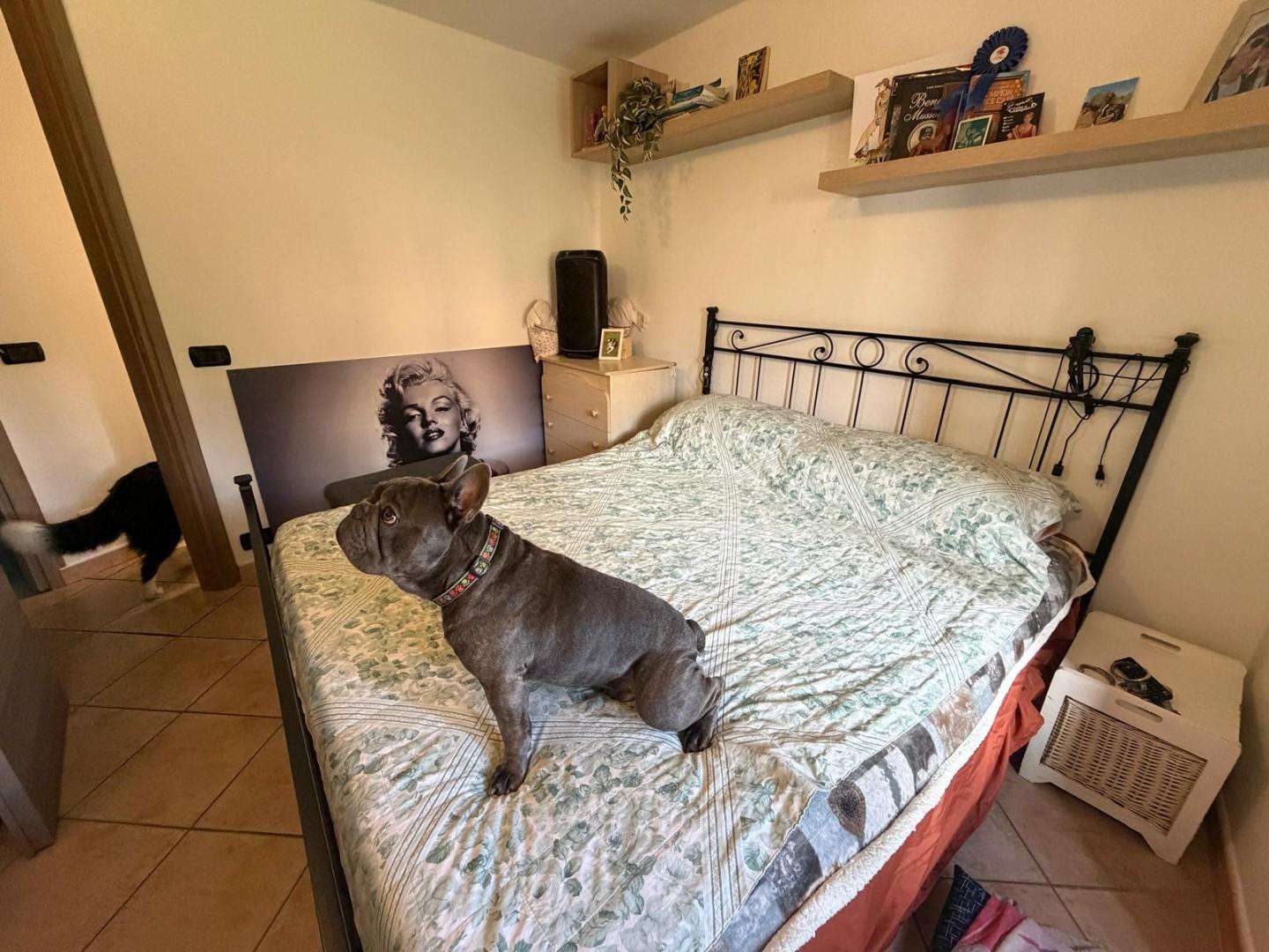  - foto 7
