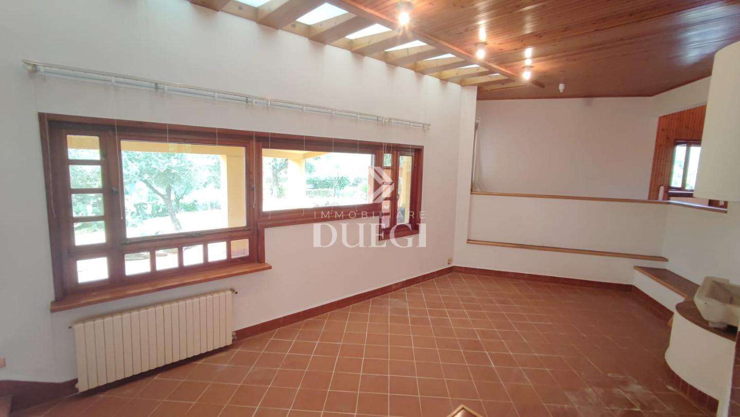  - foto 39