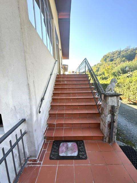  - foto 6
