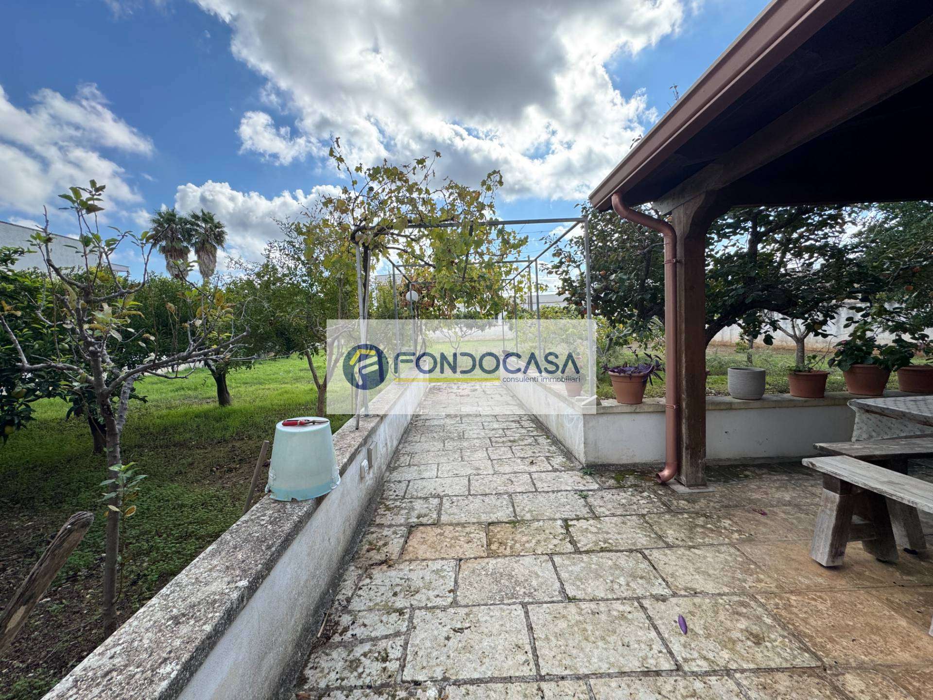  - foto 66