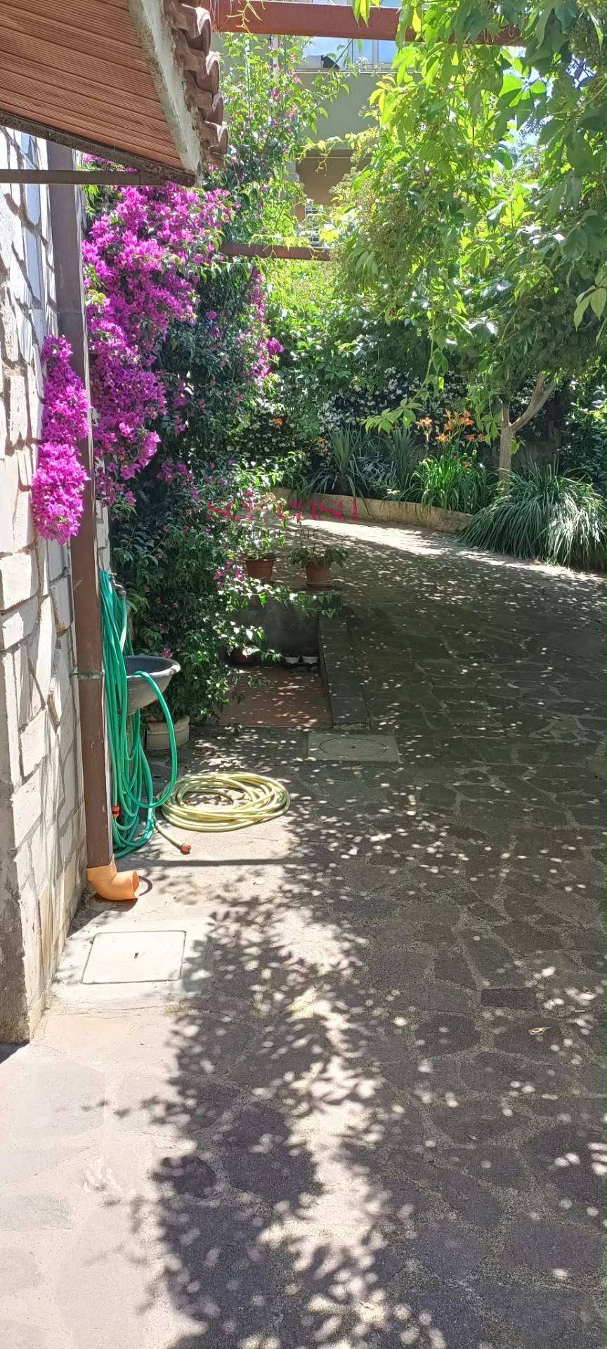  - foto 35