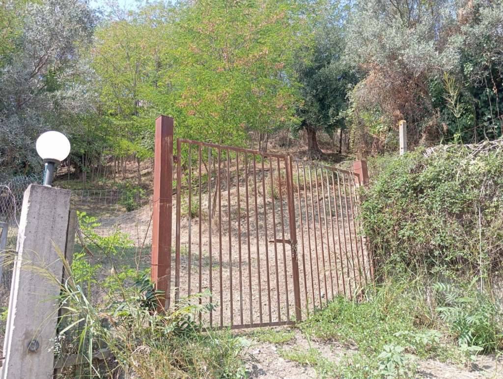 Terreno agricolo piterà, Catanzaro