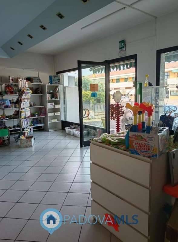 Attività  commerciale Villatora, Saonara