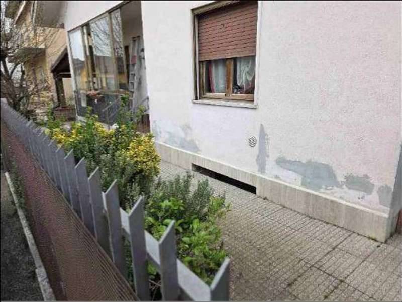  - foto 3