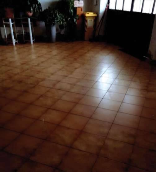  - foto 4