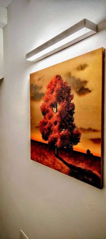  - foto 7