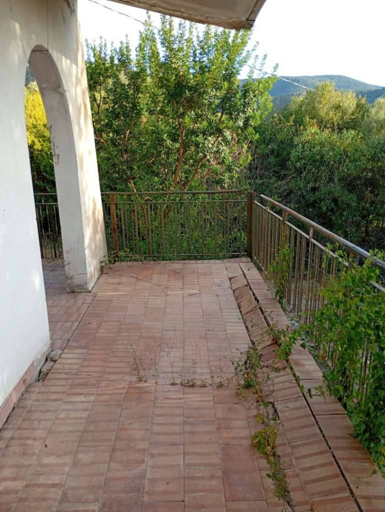  - foto 5