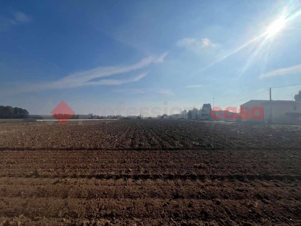 Terreno agricolo Via San Fermo, Isola Rizza