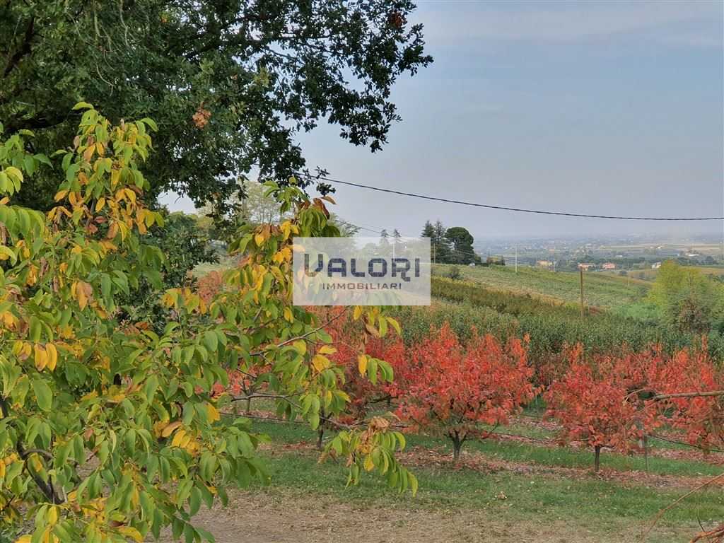 Terreno agricolo Via Vernelli, Faenza