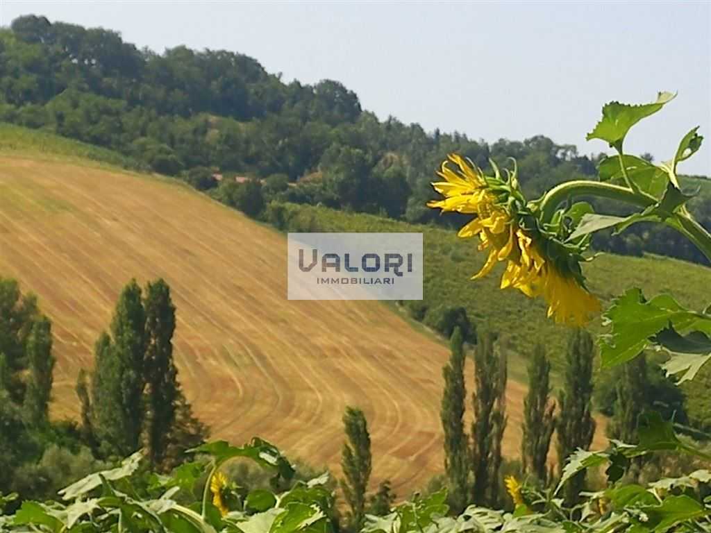  - foto 4