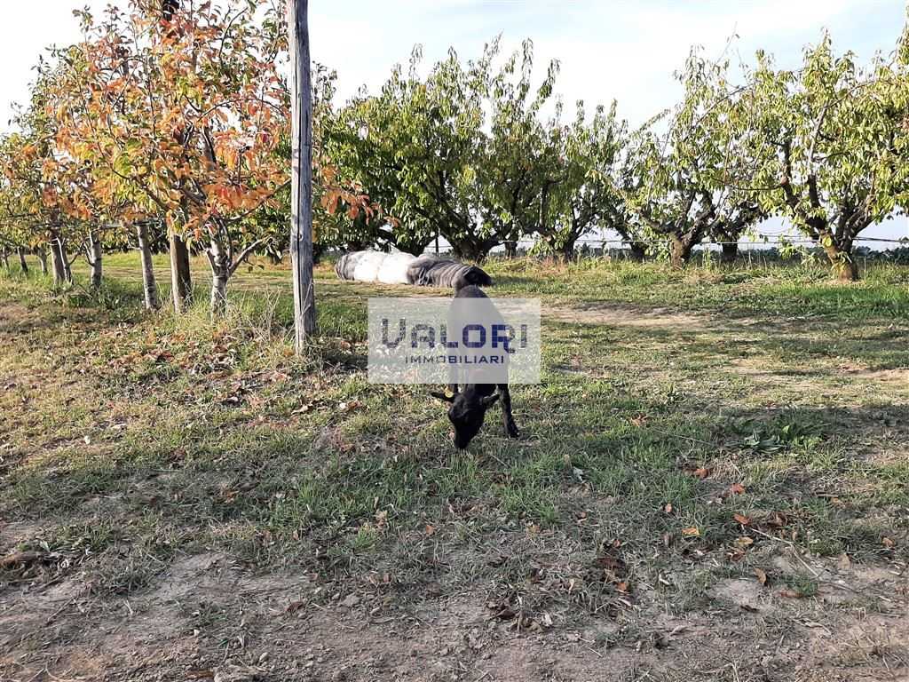  - foto 7