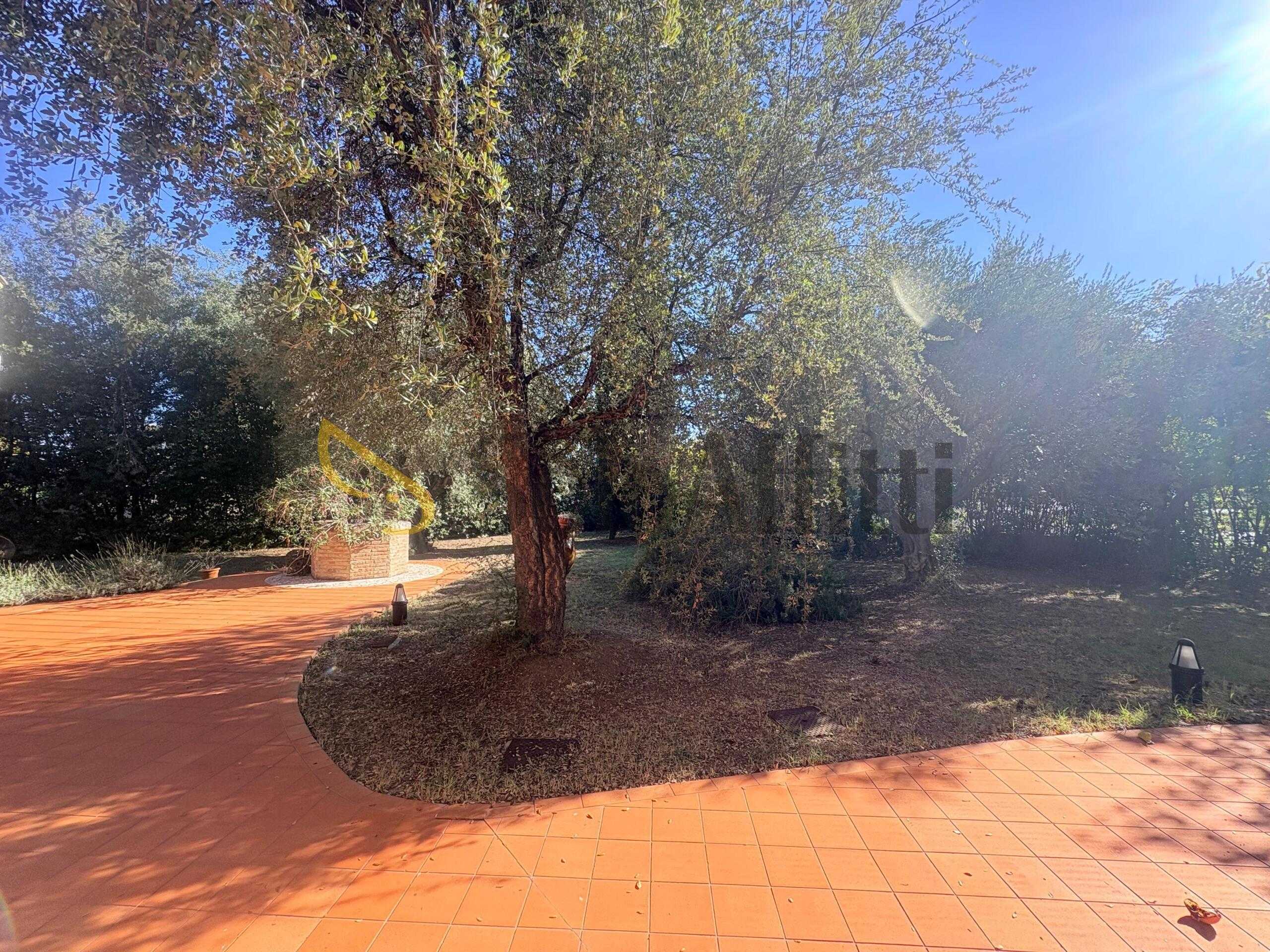  - foto 18