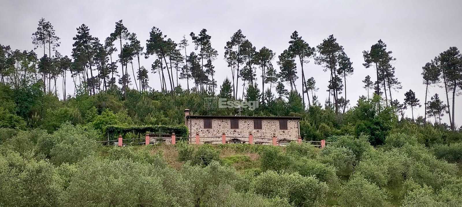 - foto 20