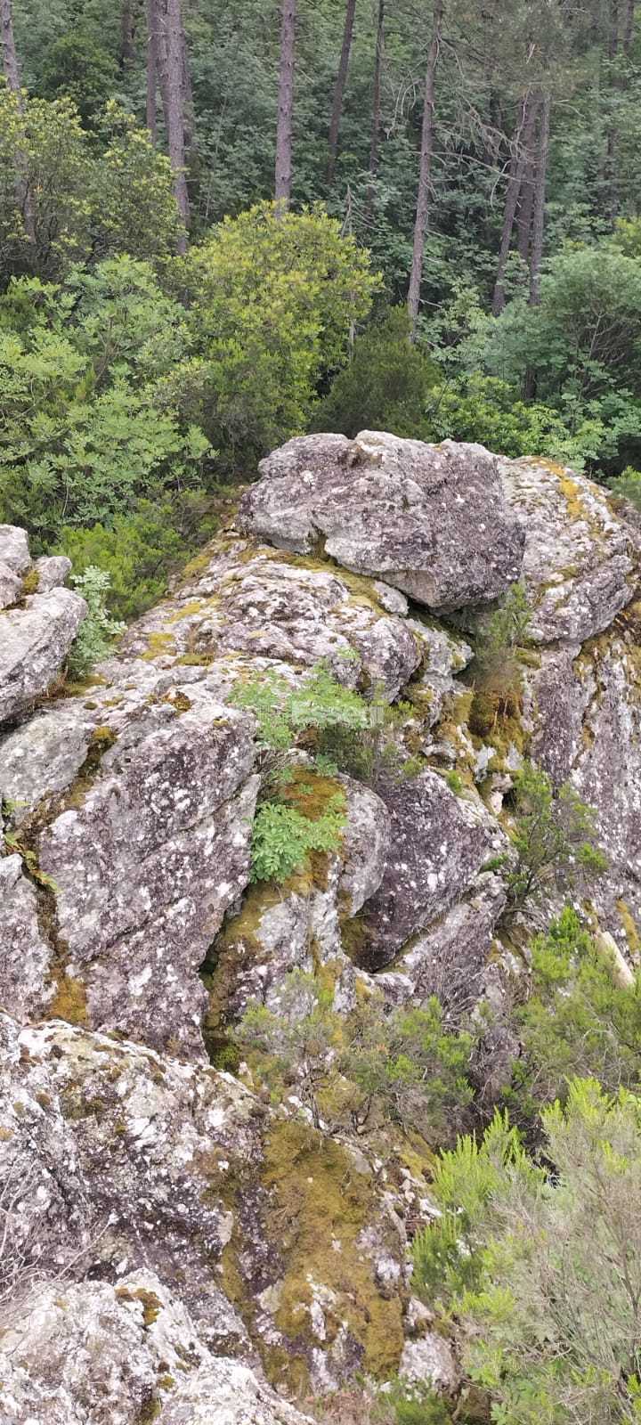  - foto 23