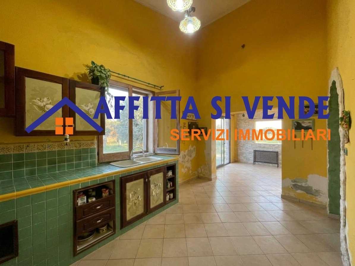  - foto 11