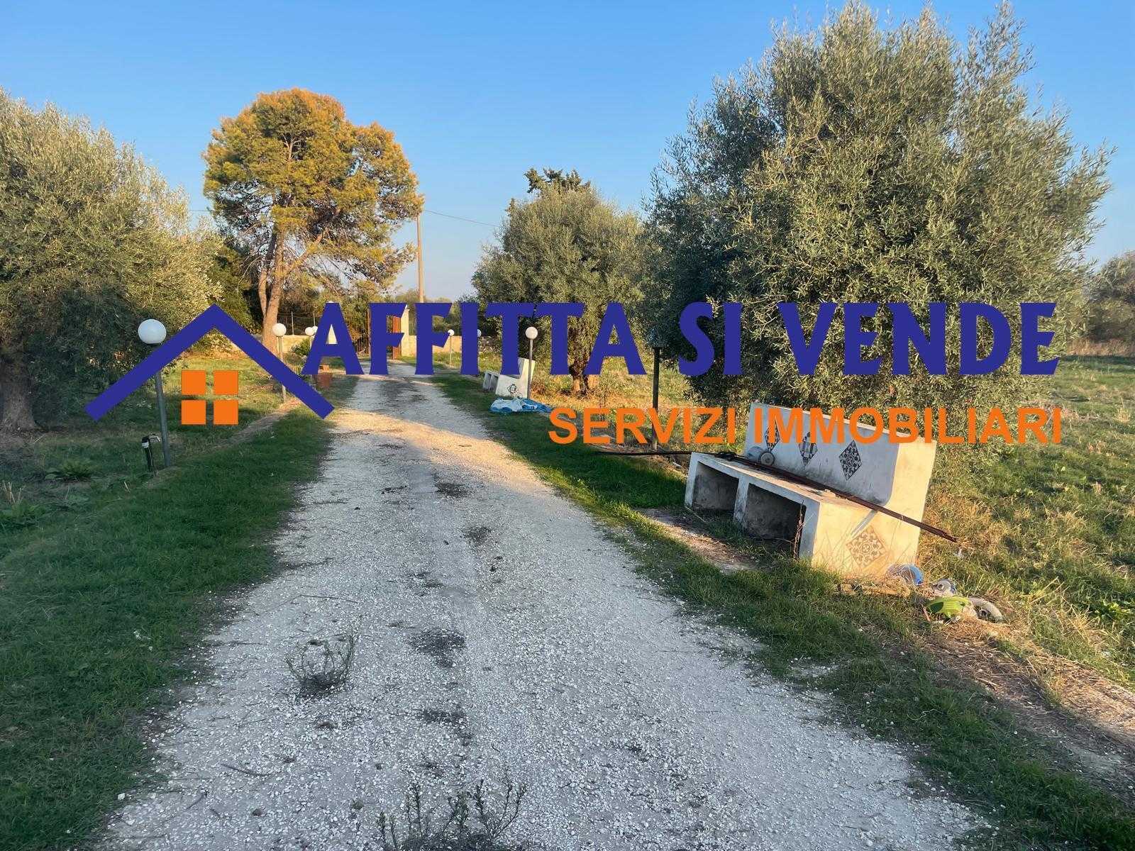  - foto 26