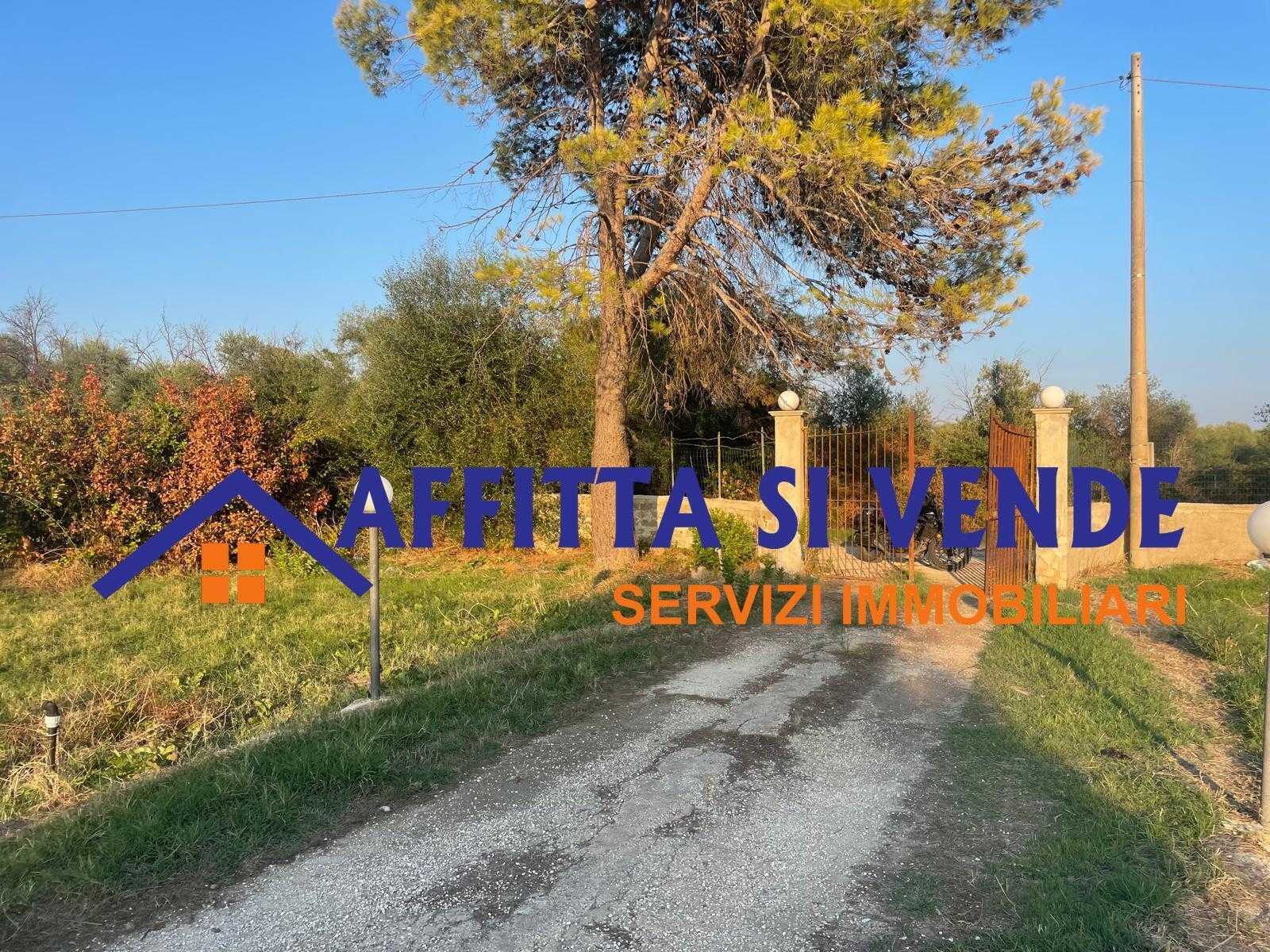  - foto 4