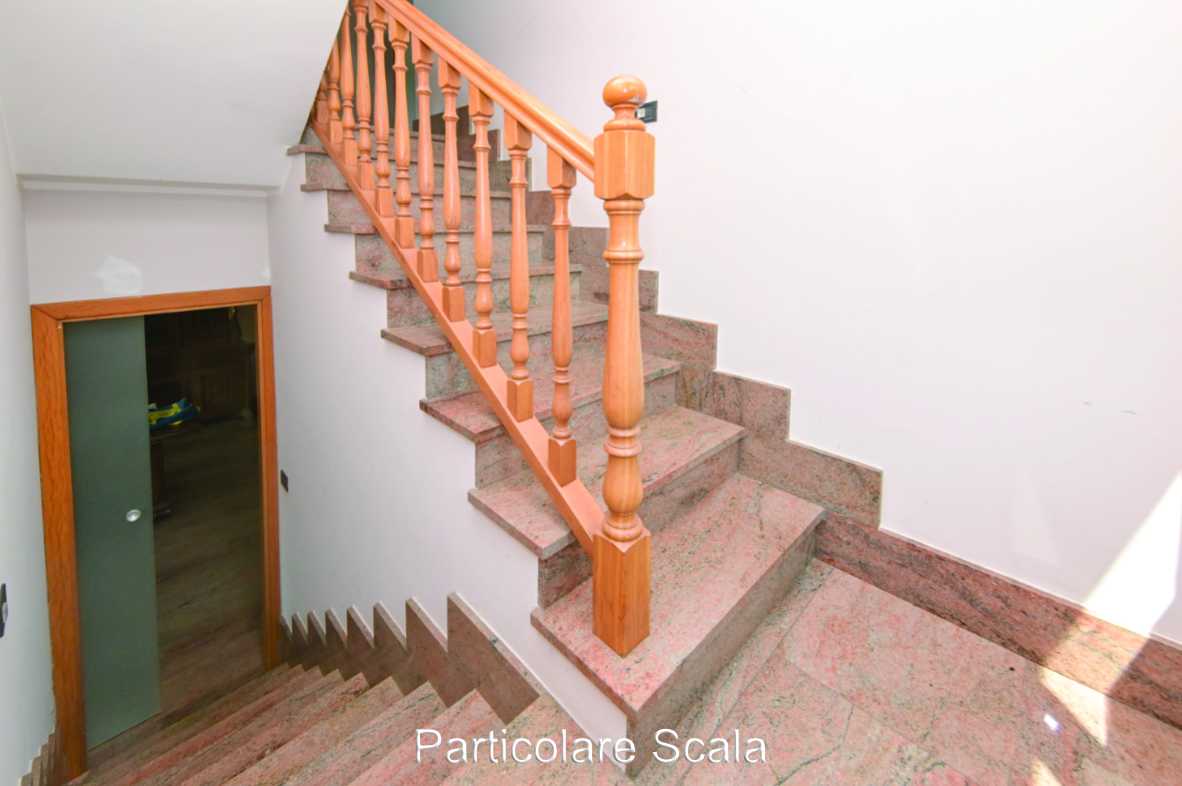  - foto 31