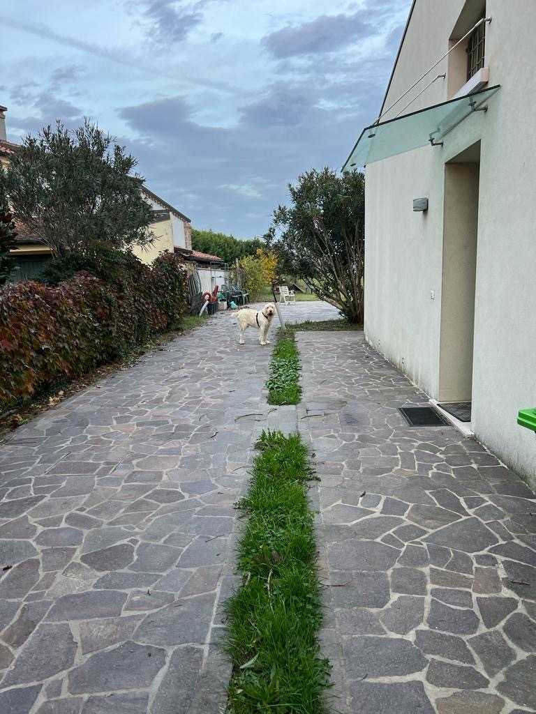  - foto 38