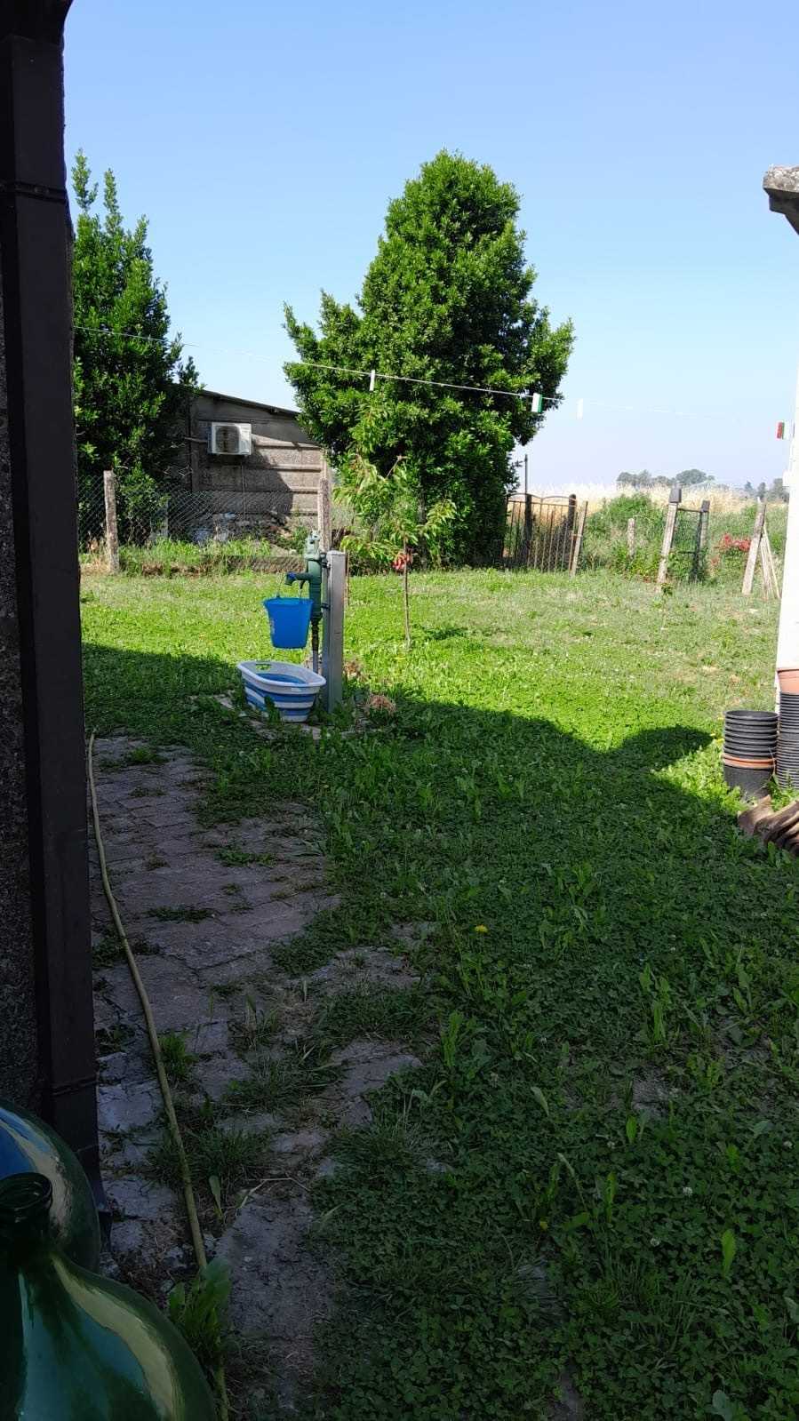  - foto 5