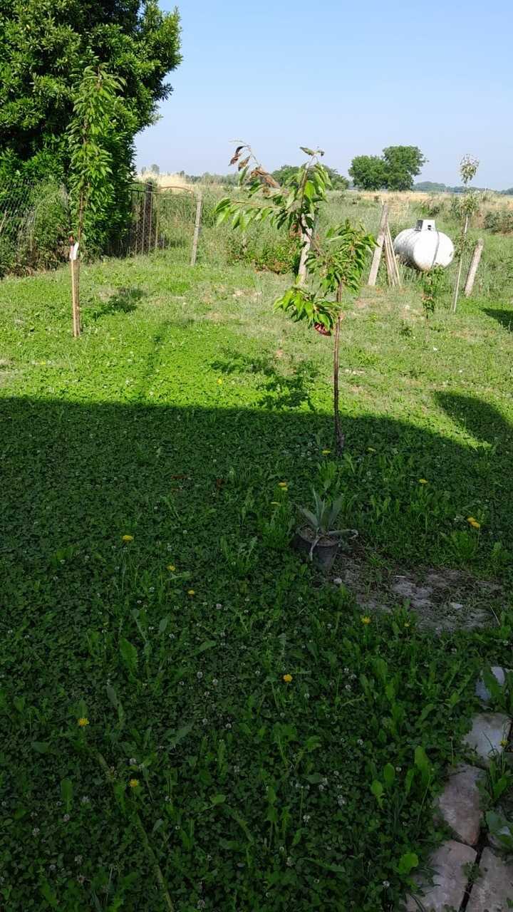  - foto 7