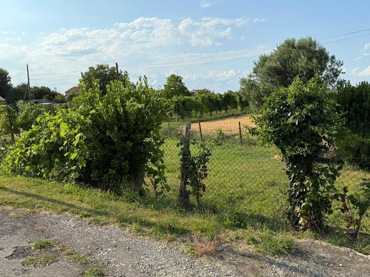  - foto 10