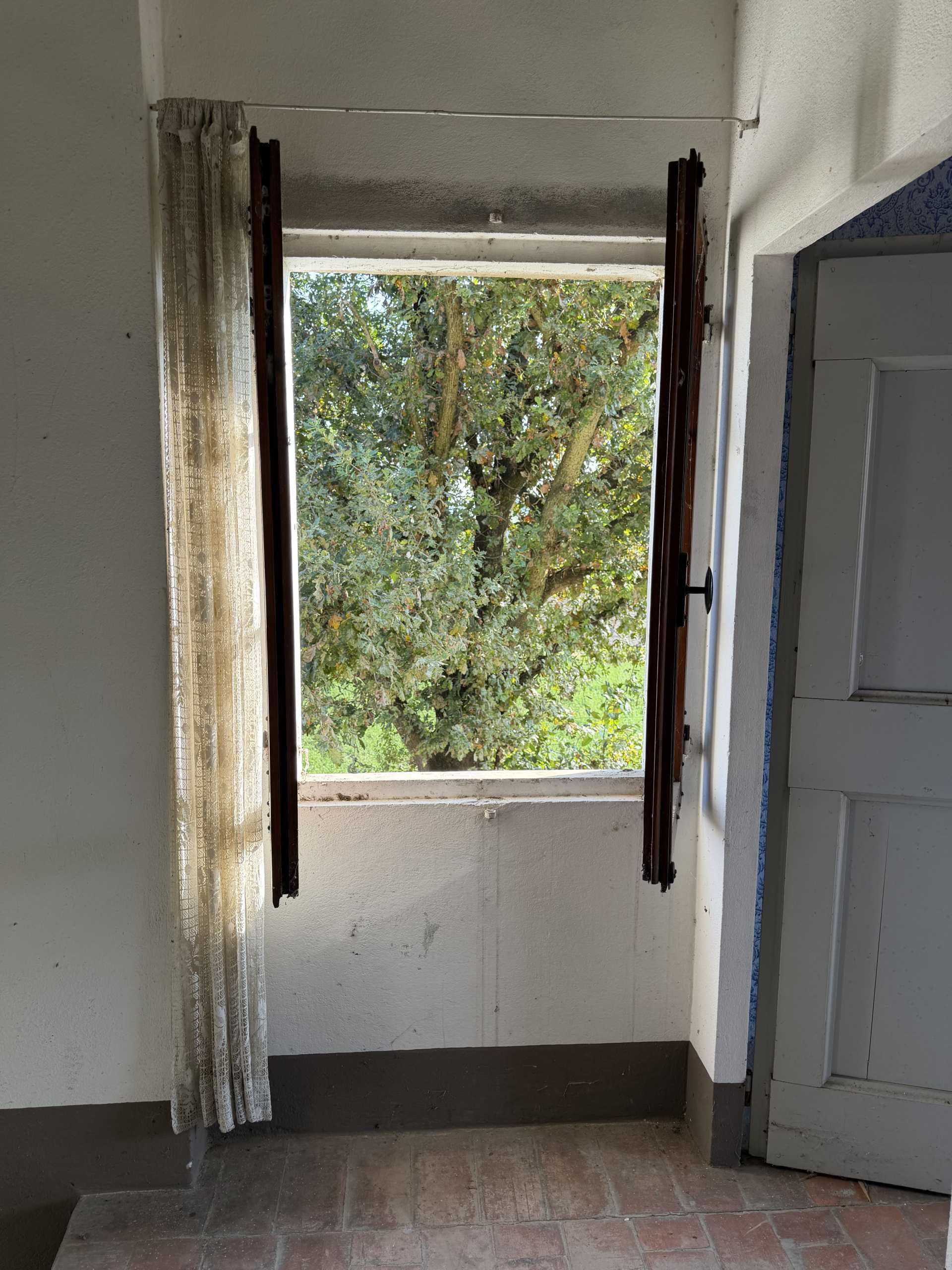  - foto 38