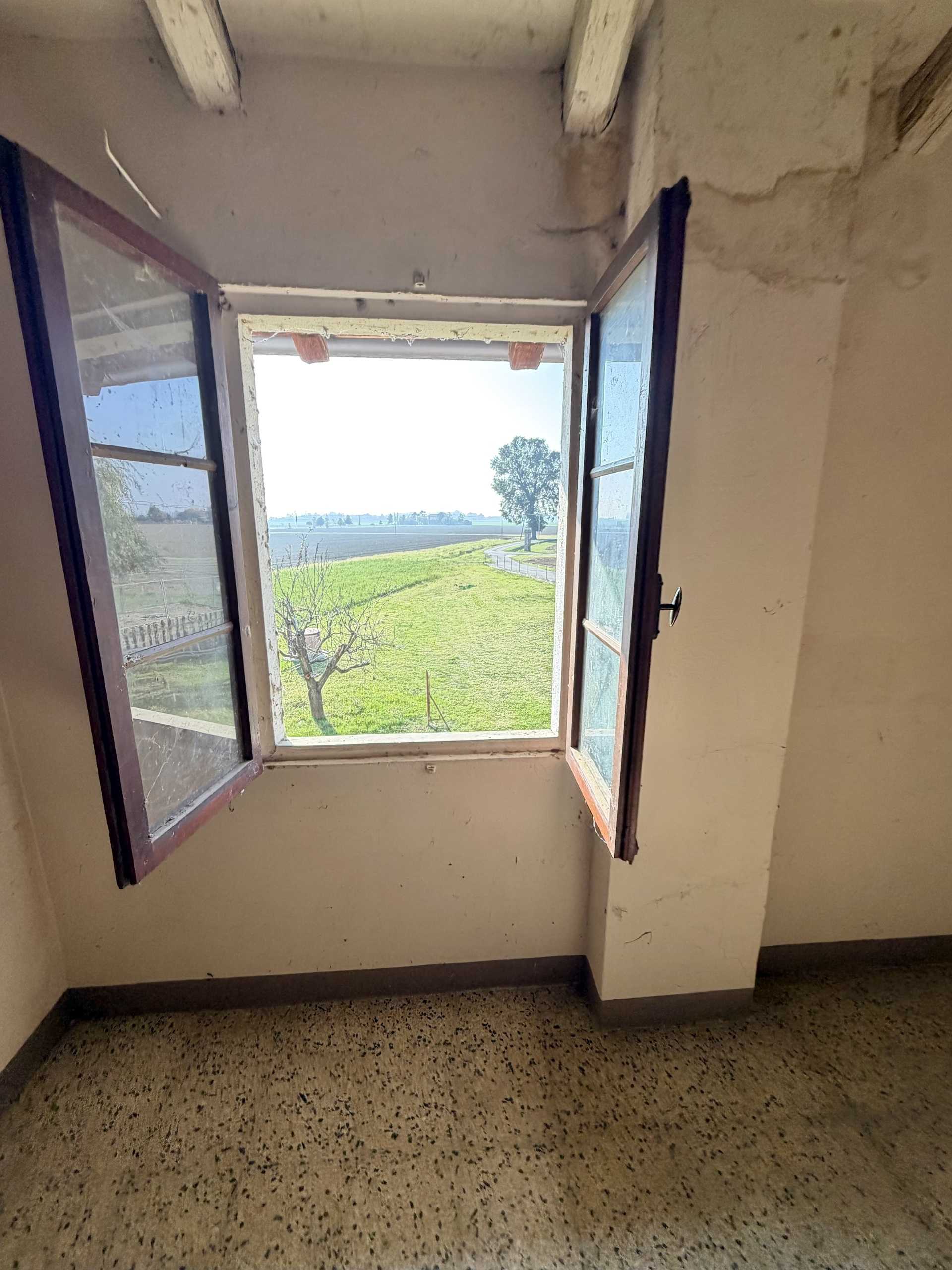 - foto 49