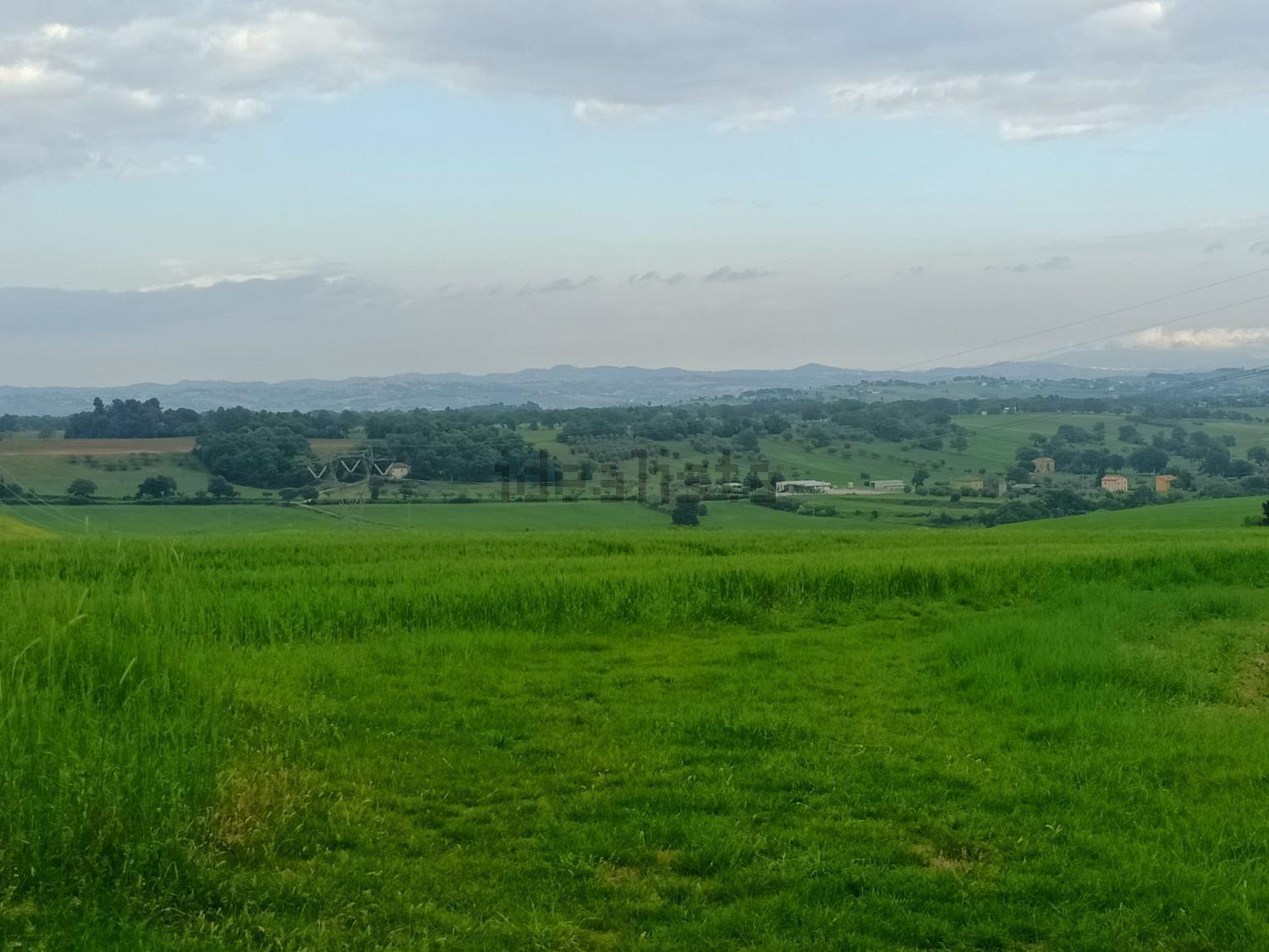 Terreno agricolo in vendita a Treia - foto 2