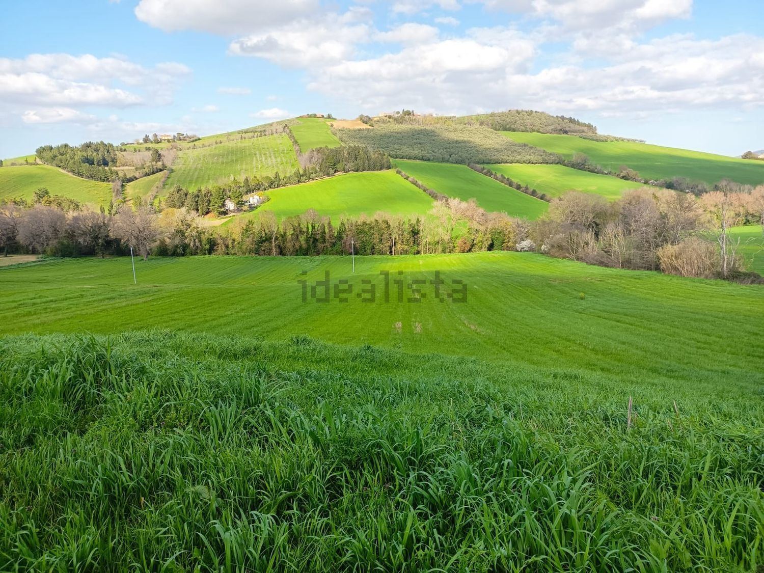 Terreno agricolo in vendita a Treia - foto 2