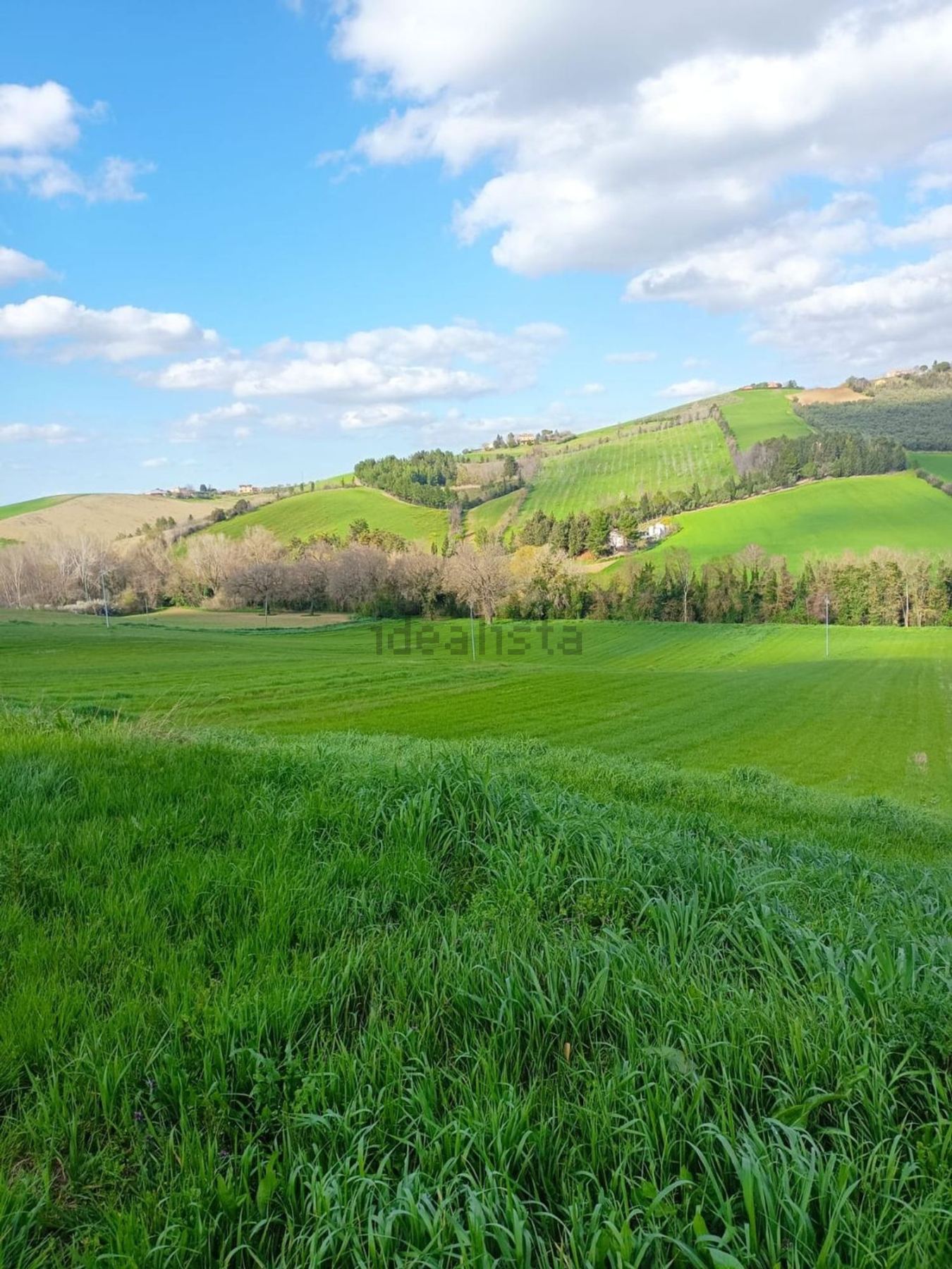 Terreno agricolo in vendita a Treia - foto 4