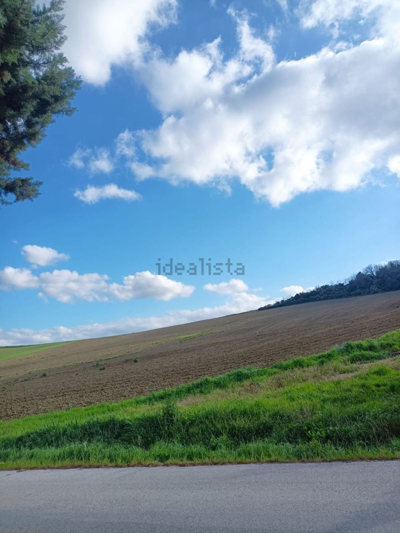 Terreno agricolo in vendita a Treia - foto 6