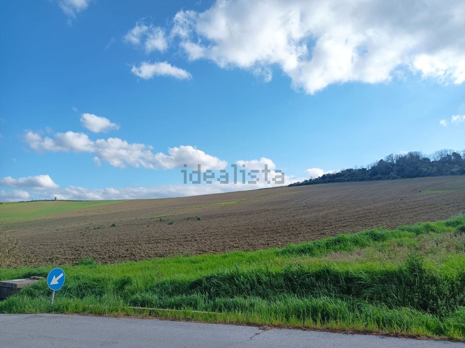Terreno agricolo in vendita a Treia - foto 7