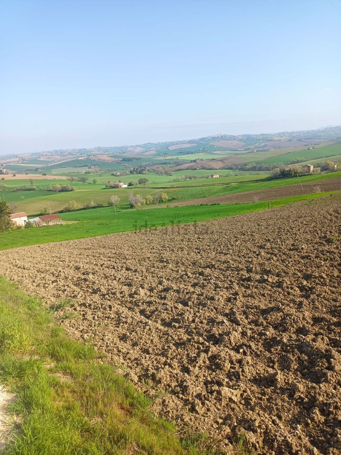Terreno agricolo in vendita ad Appignano - foto 2