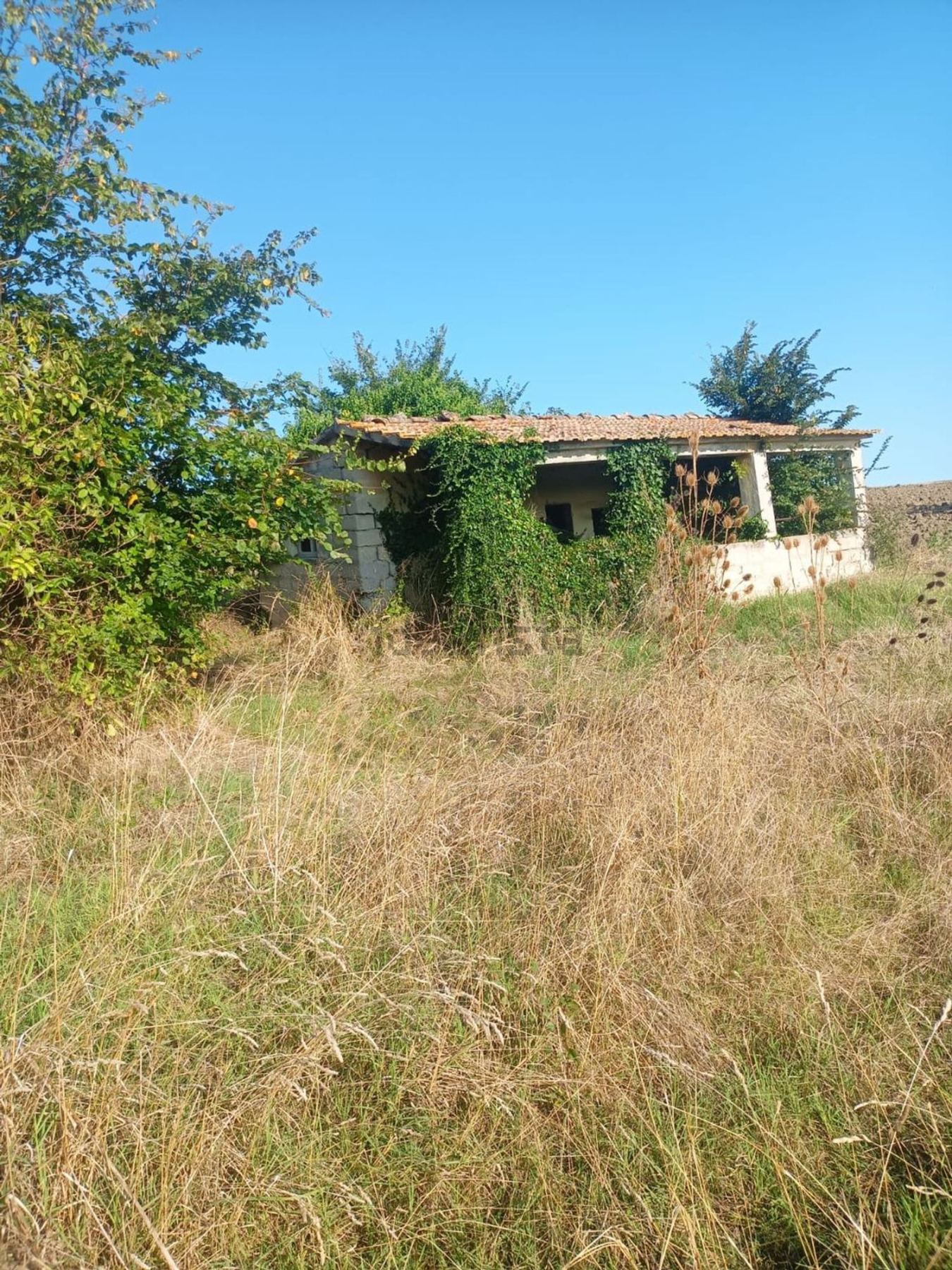 Casale in vendita a Treia - foto 8