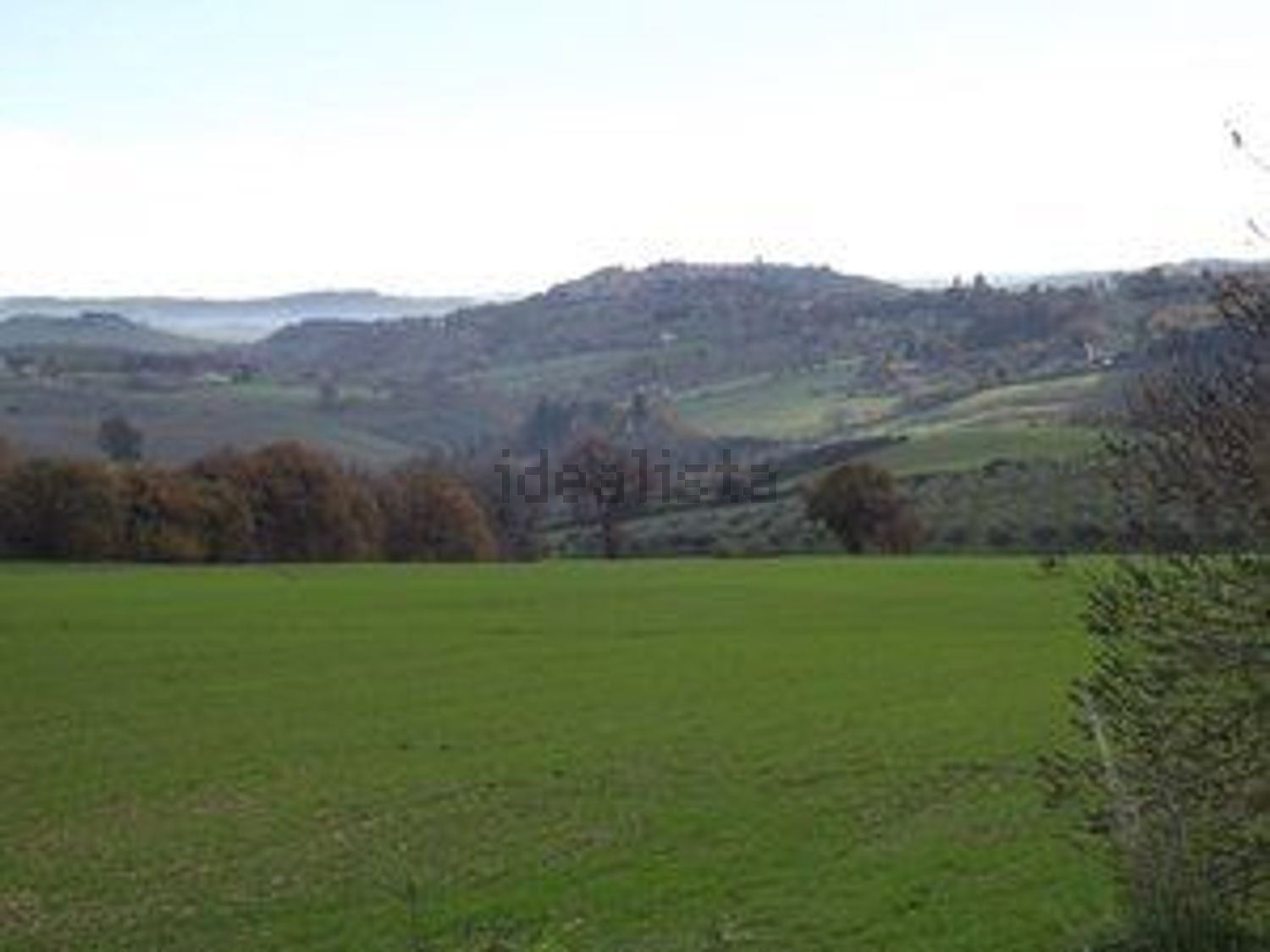 Terreno agricolo San Maria in Piana, Treia