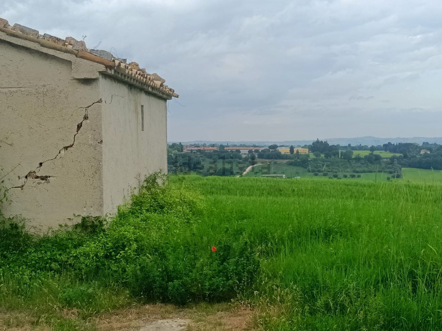 Terreno agricolo in vendita a Treia - foto 2