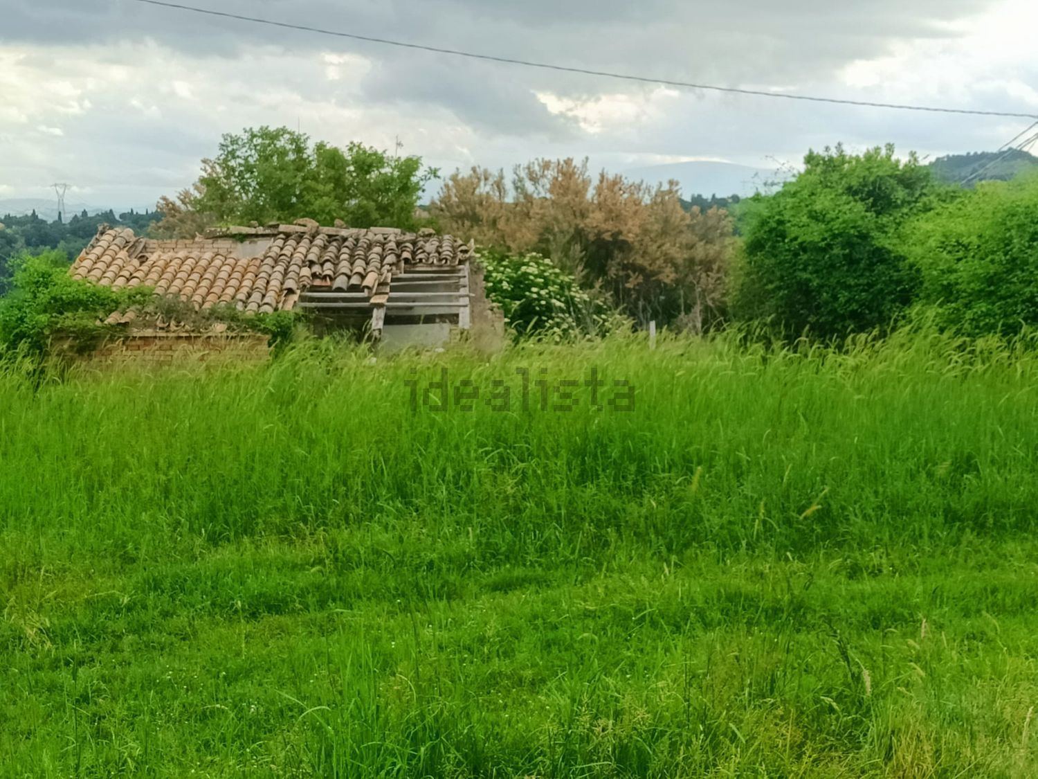 Terreno agricolo in vendita a Treia - foto 3