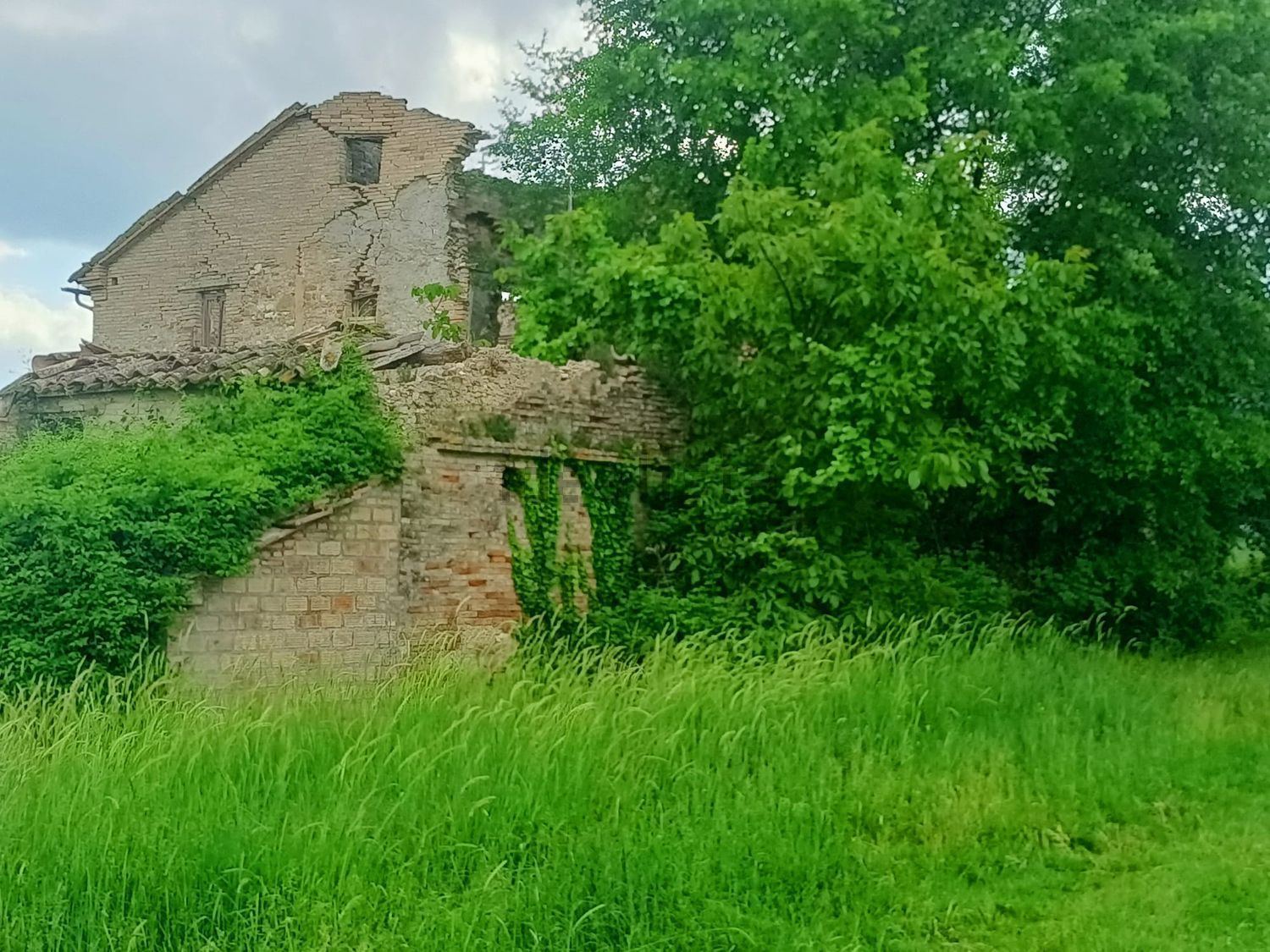 Terreno agricolo in vendita a Treia - foto 4