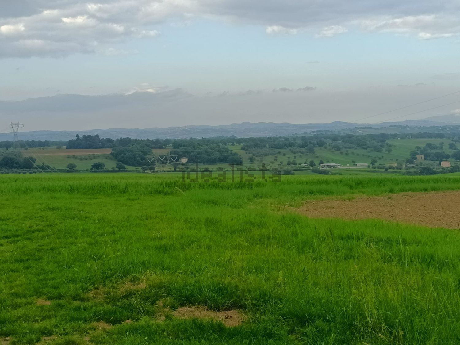 Terreno agricolo in vendita a Treia - foto 5