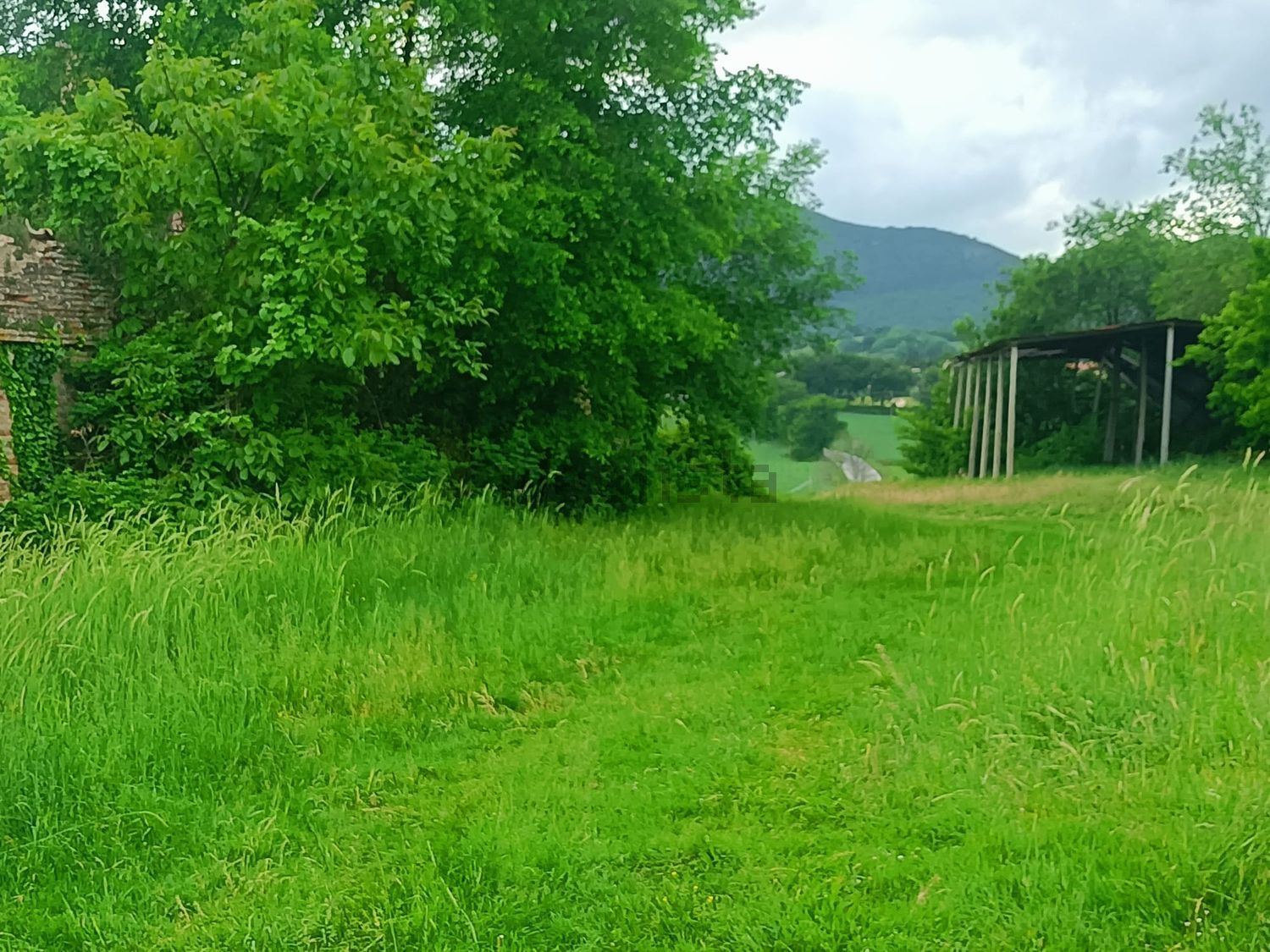 Terreno agricolo in vendita a Treia - foto 6