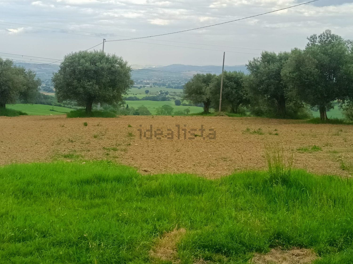 Terreno agricolo in vendita a Treia - foto 9