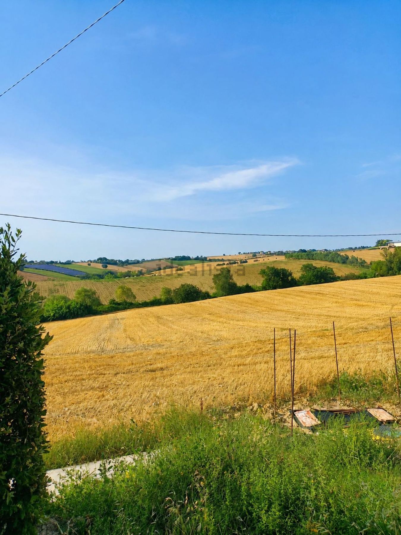Casale in vendita a Treia - foto 6