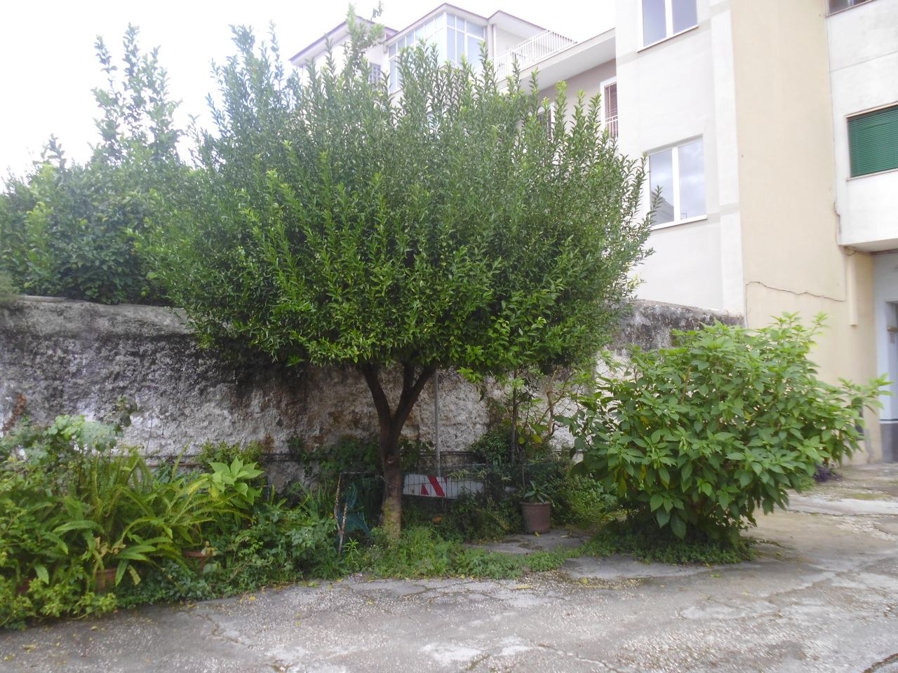  - foto 34